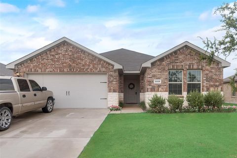 Photo of 1413 Thunder Canyon Way, Josephine, TX 75189 (MLS # 21117923)