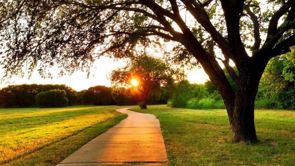 Forest Duck Crk - Residential Lease