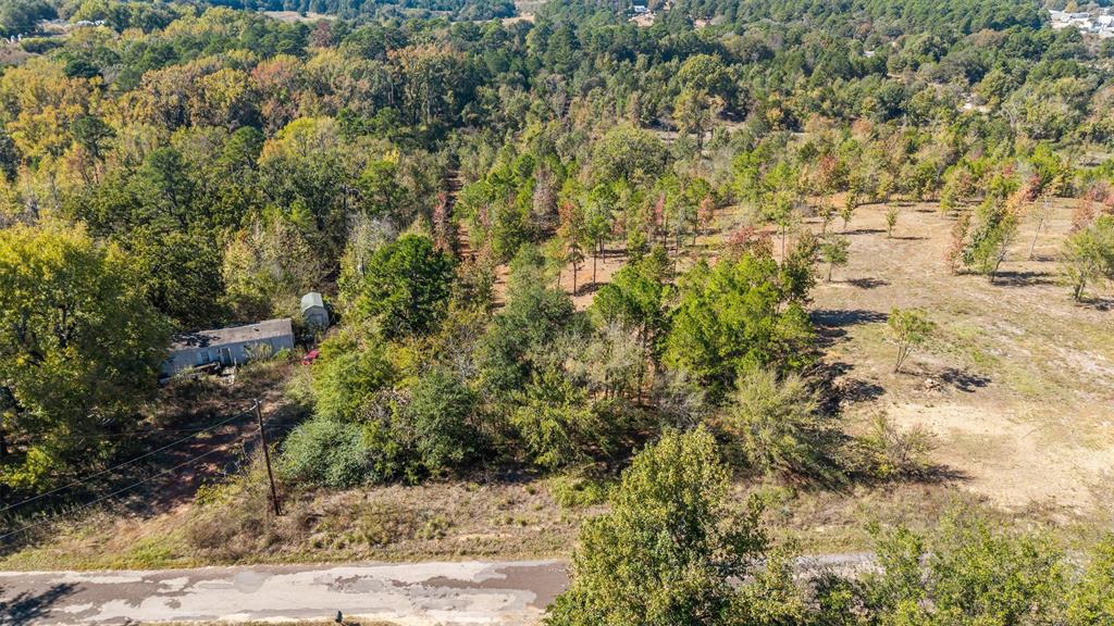 TBD County Road 4112 Lot 5