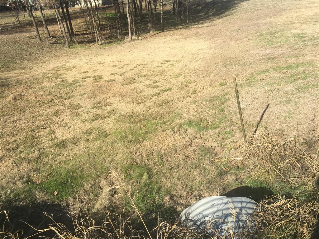 Mattie Caston Shores I - Land