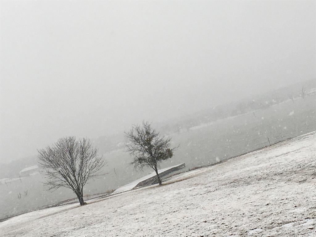 Mattie Caston Shores I - Land