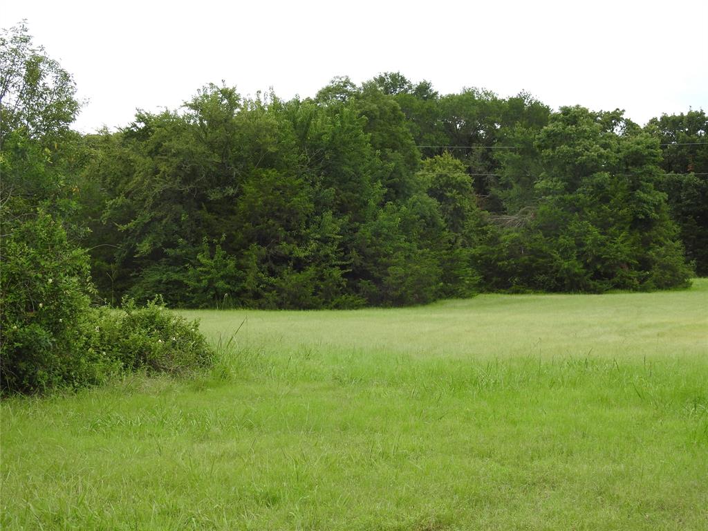 A0449, T. GREEN SURVEY - Land