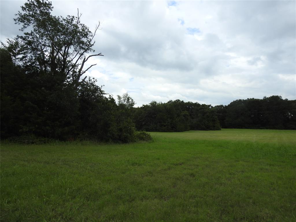 A0449, T. GREEN SURVEY - Land