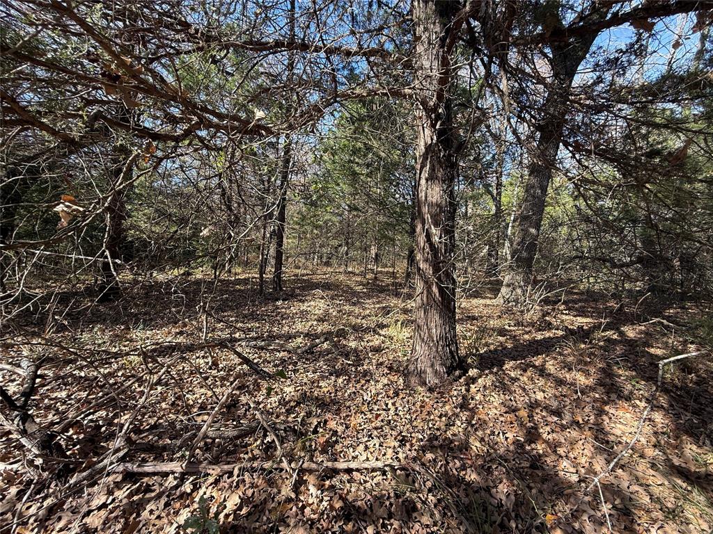 Wilderness Ph V - Land