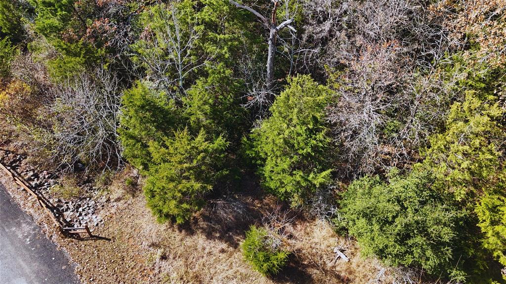 Wilderness Ph V - Land