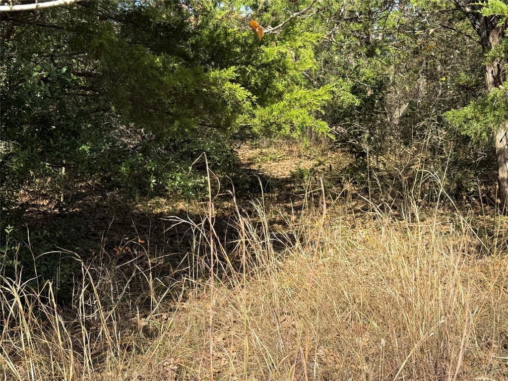 Wilderness Ph V - Land