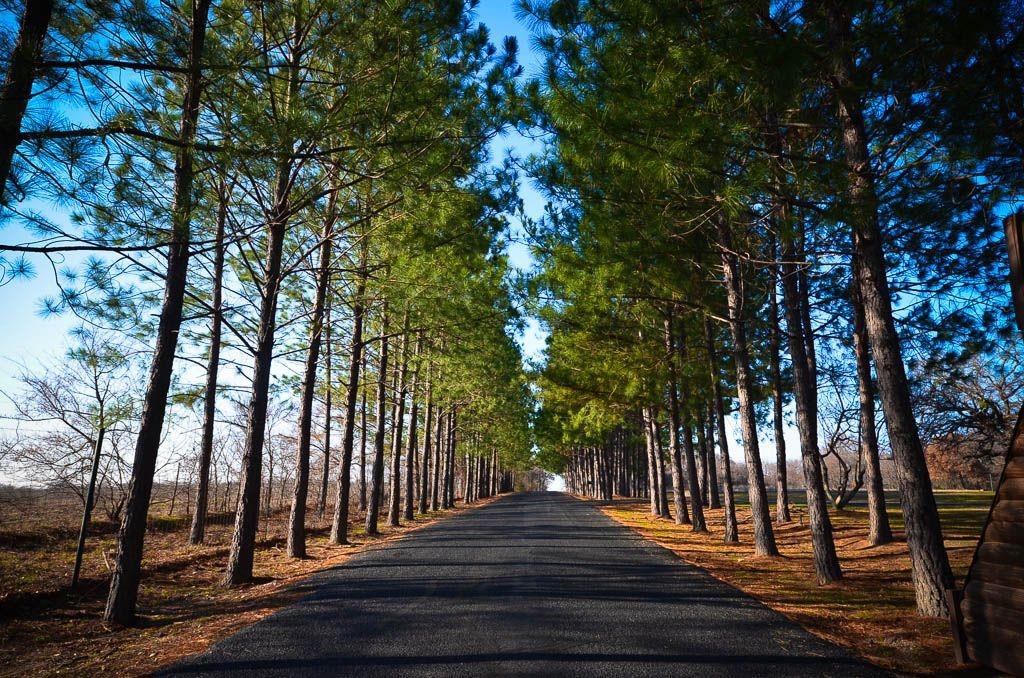 Wilderness Ph V - Land