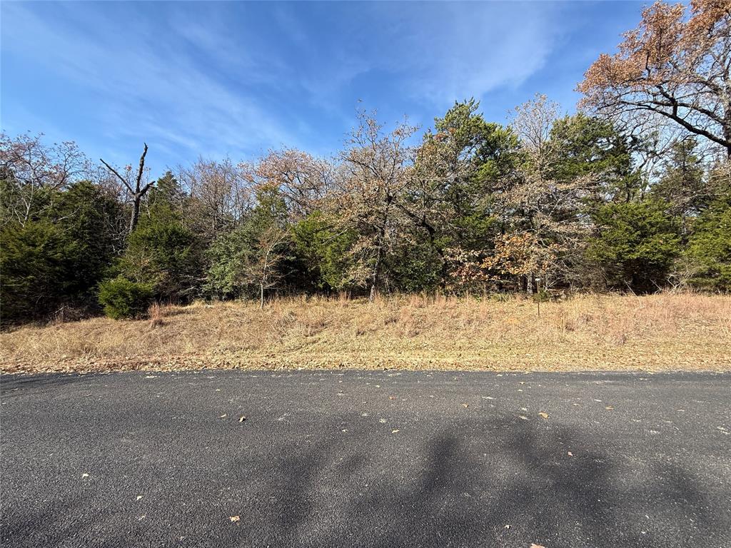 Wilderness Ph V - Land