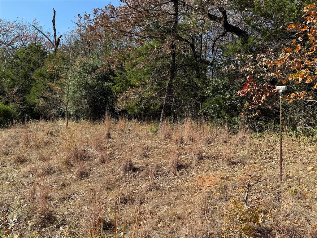 Wilderness Ph V - Land