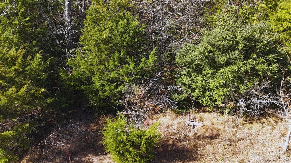 Wilderness Ph V - Land