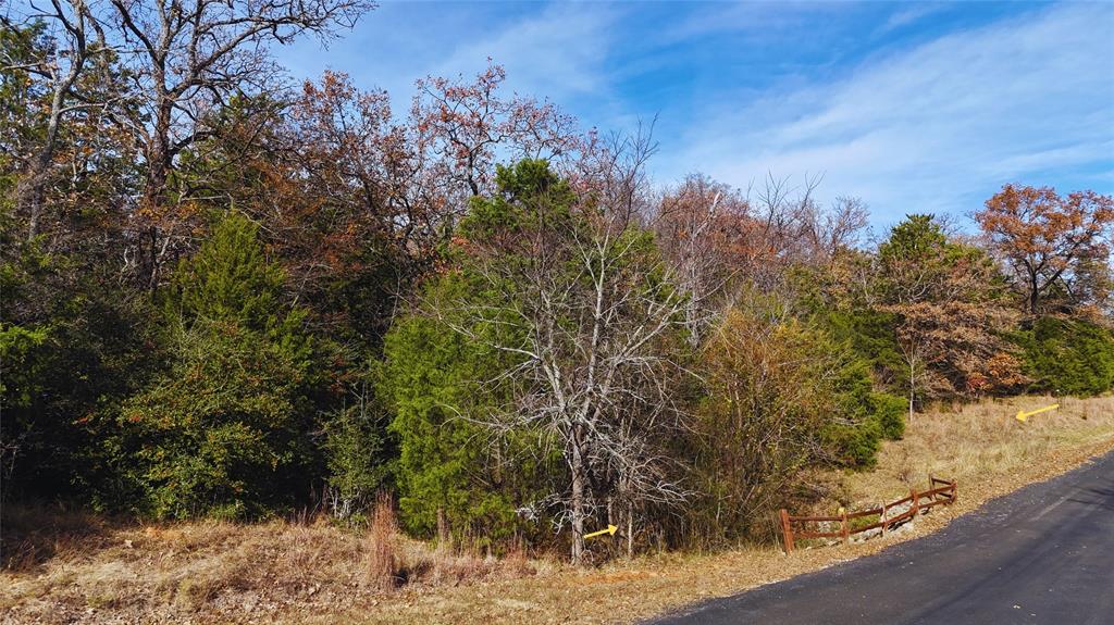 Wilderness Ph V - Land