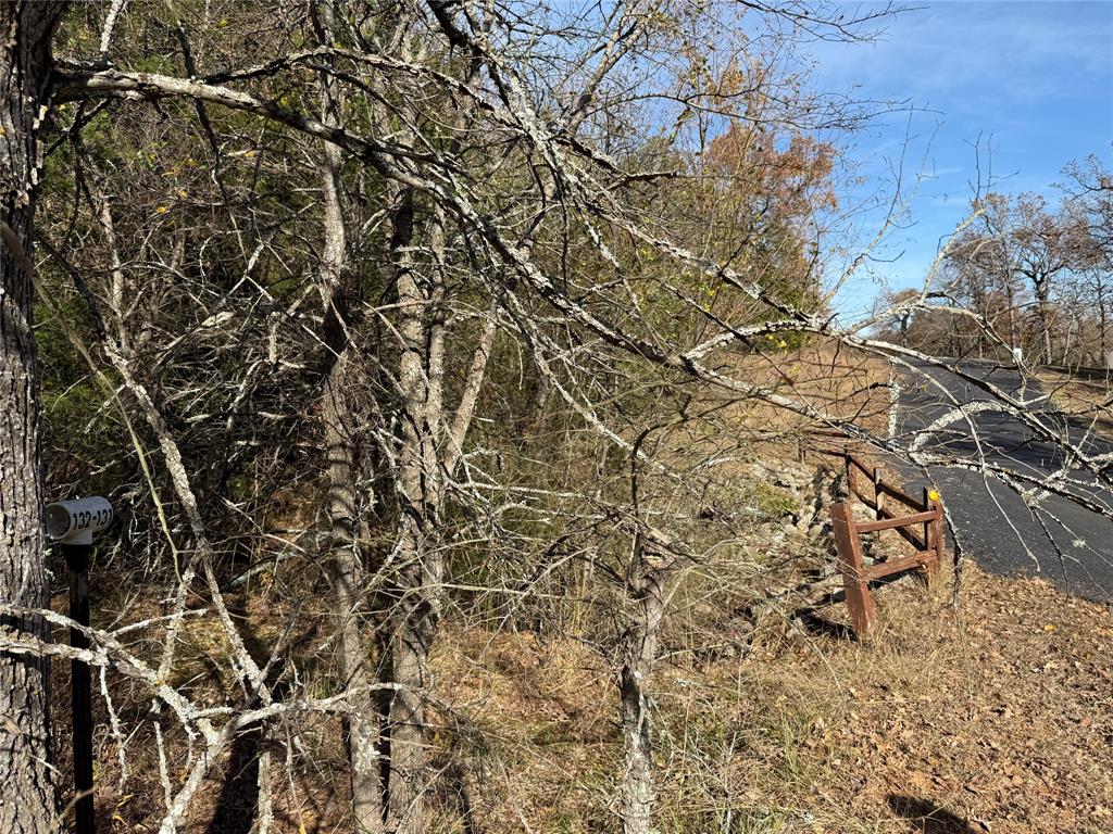 Wilderness Ph V - Land