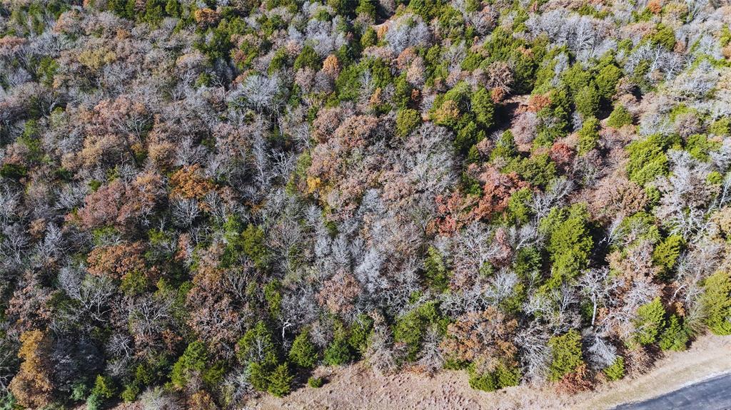 Wilderness Ph V - Land