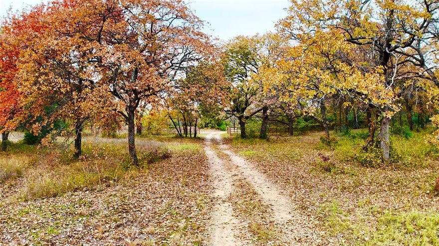 Red Bird Ridge in Argyle offers a rare opportunity to be part of an environmentally conscious development that harmonizes modern living with nature. This captivating property is unmatched in the area, with mature post oaks, blackjacks, cedar elms, and pecan trees nestled amidst rolling hills and a native prairie landscape.  

Residents will enjoy exclusive access to 10 acres of conservation acreage, preserved in perpetuity to honor and protect the region's unique environmental heritage. The perimeter of the residential area is provided with a trail system of 4.5 acres of green space which will be maintained for community activity, fostering a connection with the land’s natural beauty.  The preservation area too is arranged with over 1 mile of walking and equestrian trails among its wooded knolls and savannah patches to enjoy wildlife and native plants. 
The owners' goal at Red Bird Ridge is to construct a residential community in balance with native Cross Timbers ecology.  The plat is approved with 16 lots carefully fitted to the natural shape of the landscape. The lots included in the sale are #3-18. The project is ready to partner with a developer or investor to start construction; permits are all in place.  A sophisticated professional design and substantial preparation of the landscape have already been invested by the owners.

There is an additional 8.26 acres adjacent to this property on the North West corner called Holmans. The sellers would prefer to sell in continuity with each other's property. The MLS for Holmans 8 acre parcel is #20816675.

Buyer and buyers representative is responsible for verifying all information. 
Further documents available upon request.