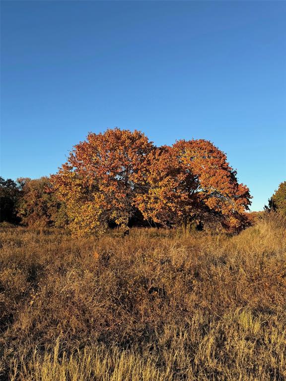 Red Bird Ridge Addition - Land