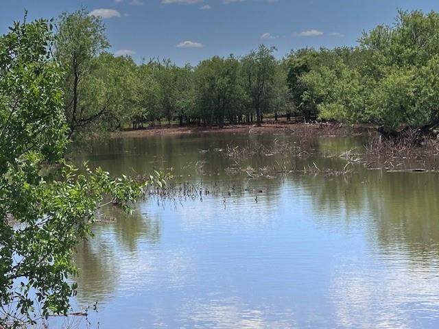 TBD County Road 441