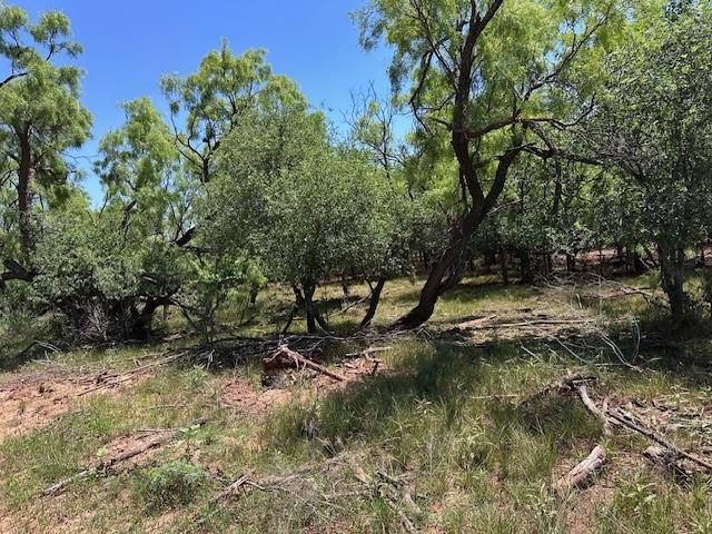 TBD County Road 441