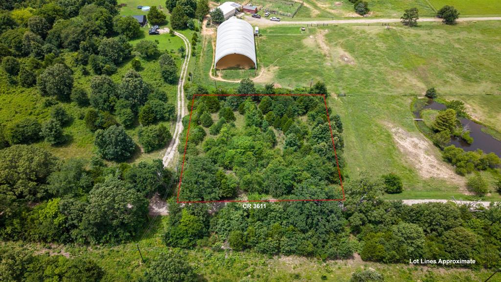 815 County Road 3611 - Photo 4