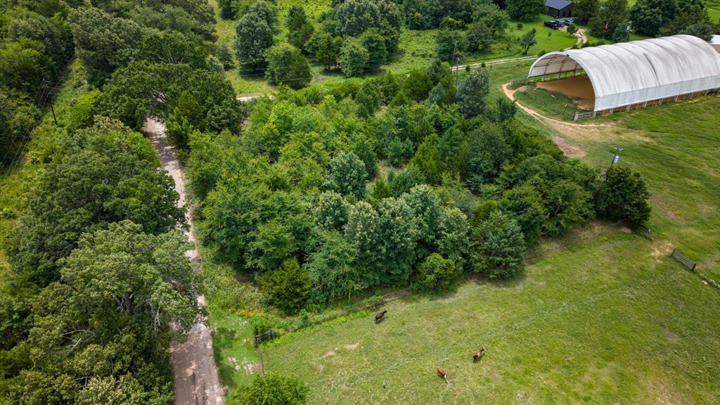 815 County Road 3611 - Photo 2