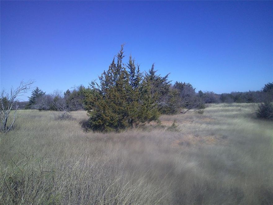 11.91 acres with minimal restrictions so come on out and pick the tract that is perfect for you. No mobiles, no mfg homes but barndo's are fine. Restrictions are in transactions. Great sandy loam pasture with perfect mixture of trees just waiting for that new home where you can have some animals and have a shop for all the toys. Several lots to choose from, just outside of Chico so easy commute back to the city. Property is in an area of good water wells and it is under ag for low taxes. Great country feel with plenty of stars at night. Aerial in pictures.