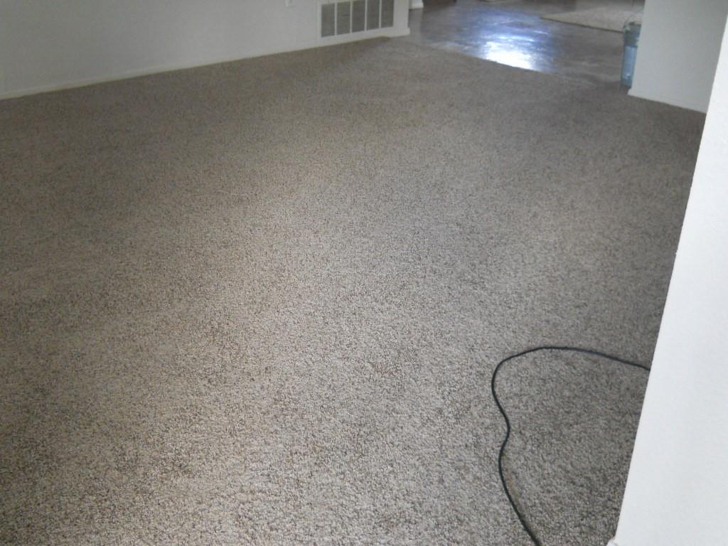 Springbrook - Residential Lease