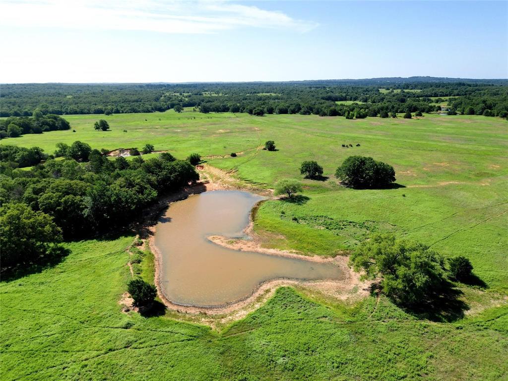 N part of Tract 54 FM 1655