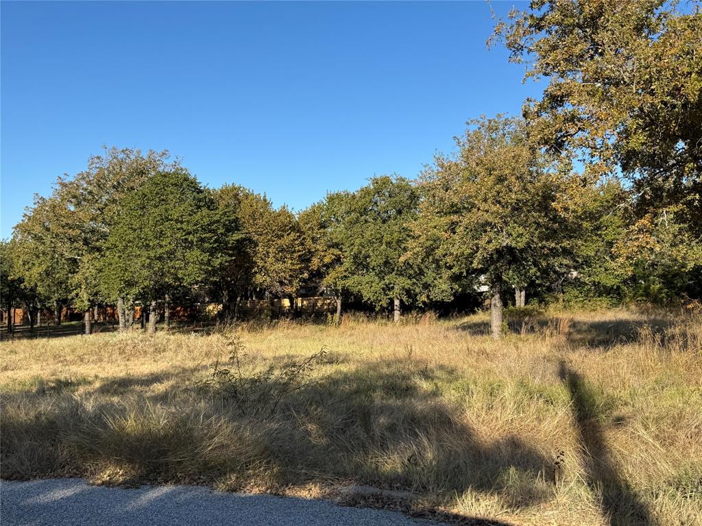 Walking Horse Estates Ph II - Land