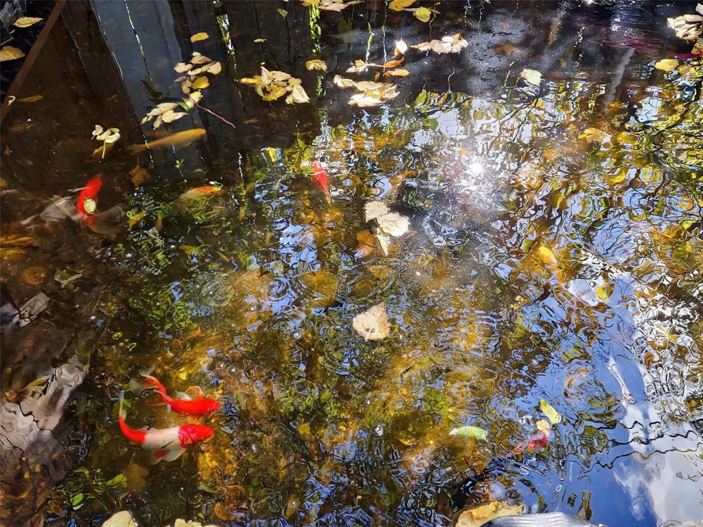 Meadow Brook - Residential