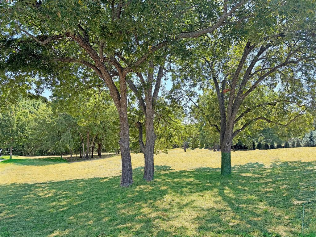 6205 Altamura