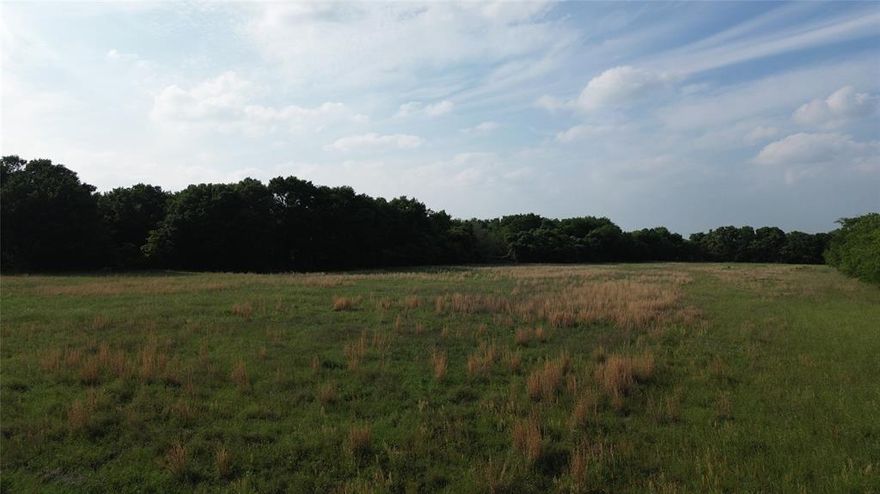 Beautiful 1-acre homesite located in Kemp, TX, offering an excellent opportunity to bring your custom home plans, mobile home, tiny home or barndo ideas less than 1 hour from Dallas! Perfectly sized and situated in a peaceful rural setting, this property provides convenient access to major highways while maintaining the privacy and charm of country living. Utilities available at the road, Water- West Cedar Creek MUD Electric - TVEC. Minor restrictions to maintain property values. Experience the comfort and tranquility of the countryside. SELLER FINANCING AVAILABLE