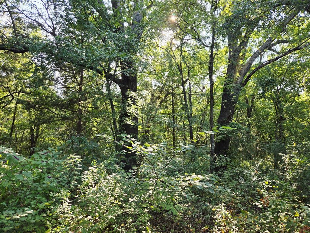 Copper Branch Estates - Land