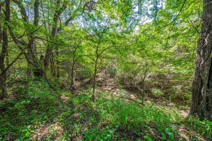 Escape to Your Private Oasis! This incredible gem is just a 19 minute drive to the Dallas North Tollway access road, making it an effortless commute to the city! Plus, you'll be only 14 minutes from the stunning Walnut Creek Resort on Lake Texoma and 5 minutes to Whitesboro! Discover a truly exceptional 7.355-acre property, offering the perfect blend of secluded country living and urban convenience. Tucked away at the end of a peaceful cul-de-sac, this land provides unmatched privacy and a tranquil environment. A beautiful, winding creek runs through the property, creating a natural and soothing soundscape. Imagine your worries melting away on this nearly 8-acre slice of heaven, with endless room to roam and explore. Electricity runs to the property and there is already a water meter installed! Make your dream of a peaceful retreat a reality!