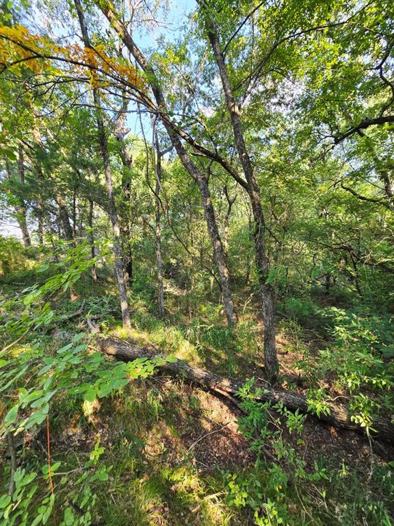 Copper Branch Estates - Land