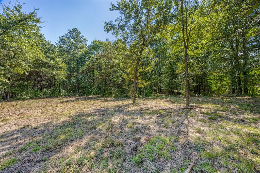 Copper Branch Estates - Land