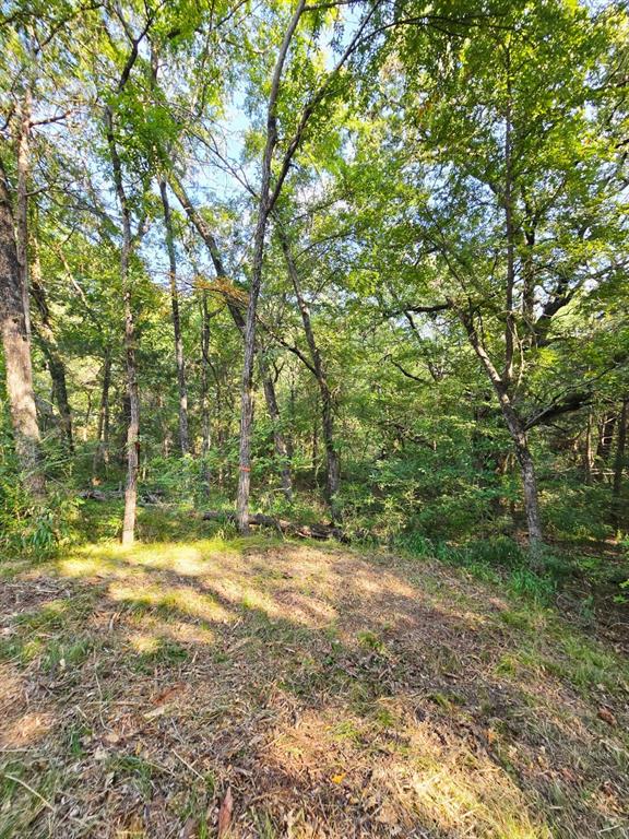 Copper Branch Estates - Land