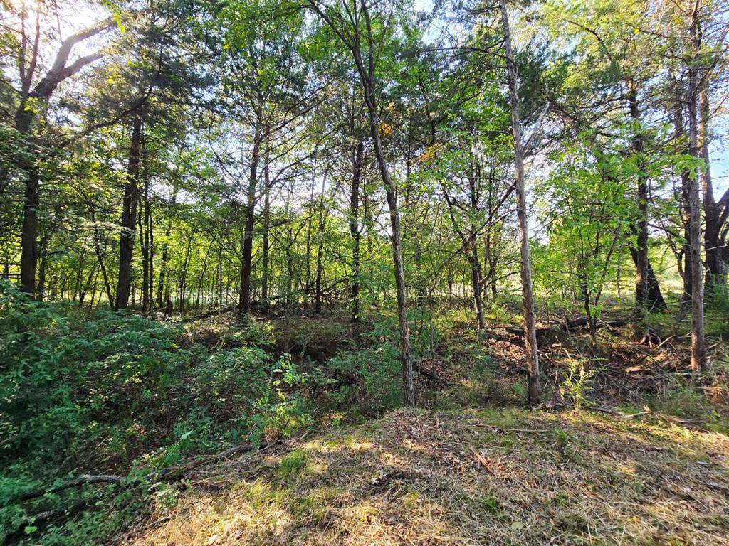 Copper Branch Estates - Land