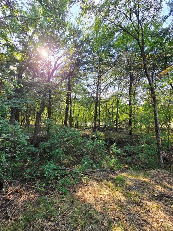 Copper Branch Estates - Land