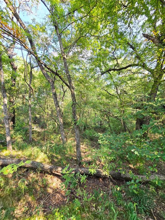 Copper Branch Estates - Land