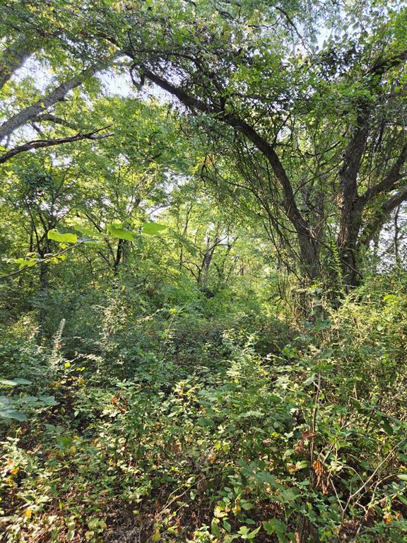 Copper Branch Estates - Land