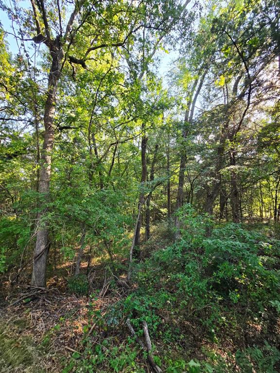 Copper Branch Estates - Land