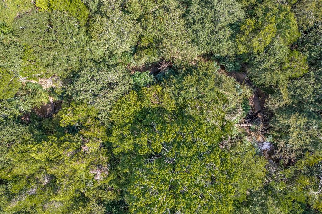 Copper Branch Estates - Land