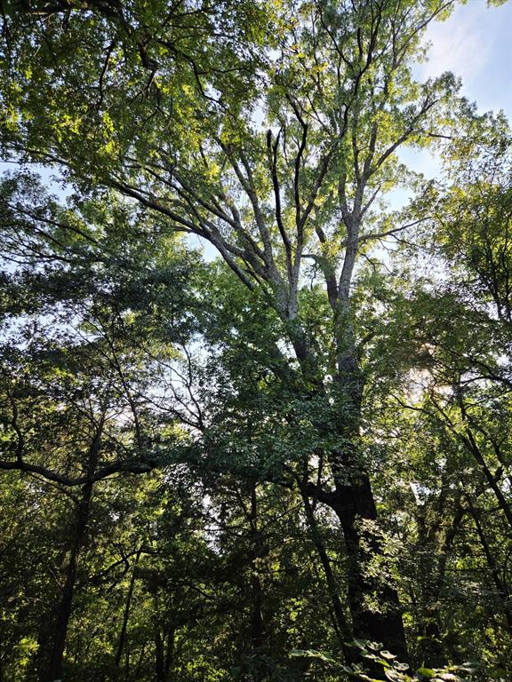 Copper Branch Estates - Land