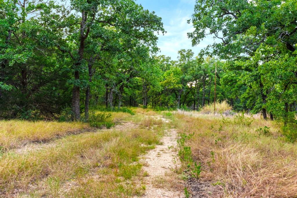 Longhorn Parkway & Highway 31