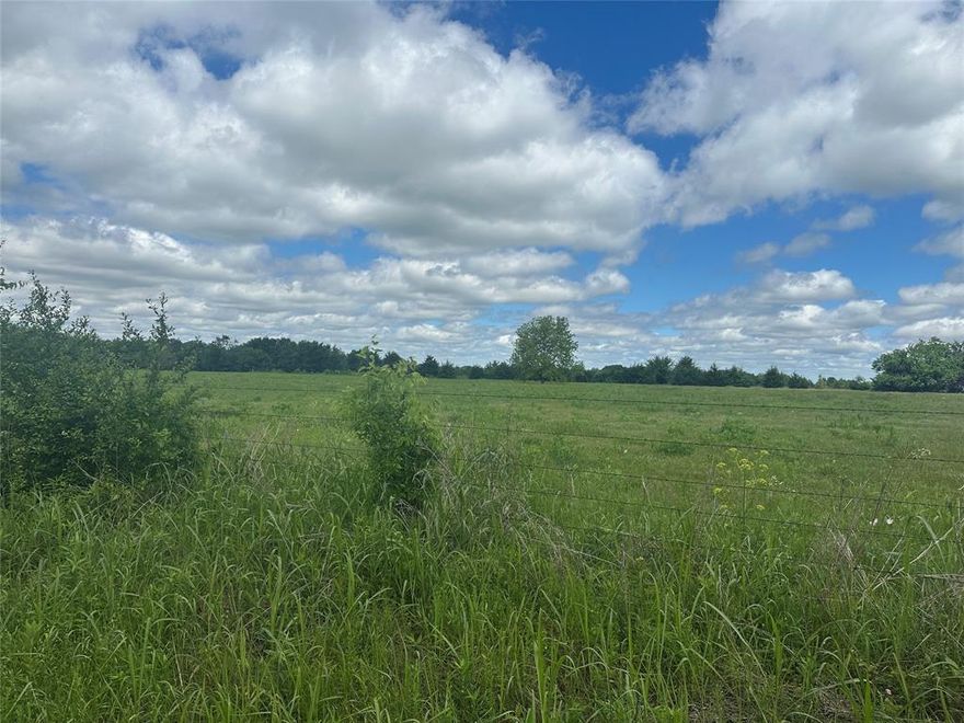 Come see these beautiful 1+ acre lots in the quiet and tranquil town of Ravenna. Located just north of Bonham. These lots are nestled away along County Road 1400 and are ready for you to build the home of your dreams! These are must see lots! Relaxed deed restrictions, AND water meters will be provided to buyers for free. These lots are priced aggressively and ready to go now!