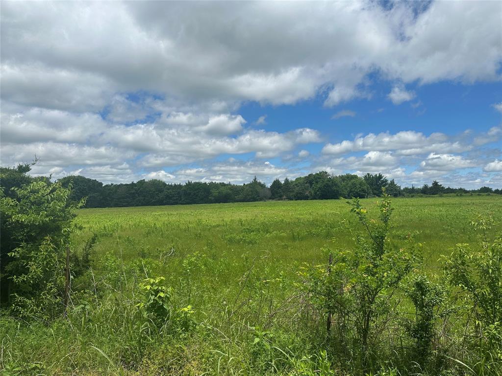 Quincy Estates - Land