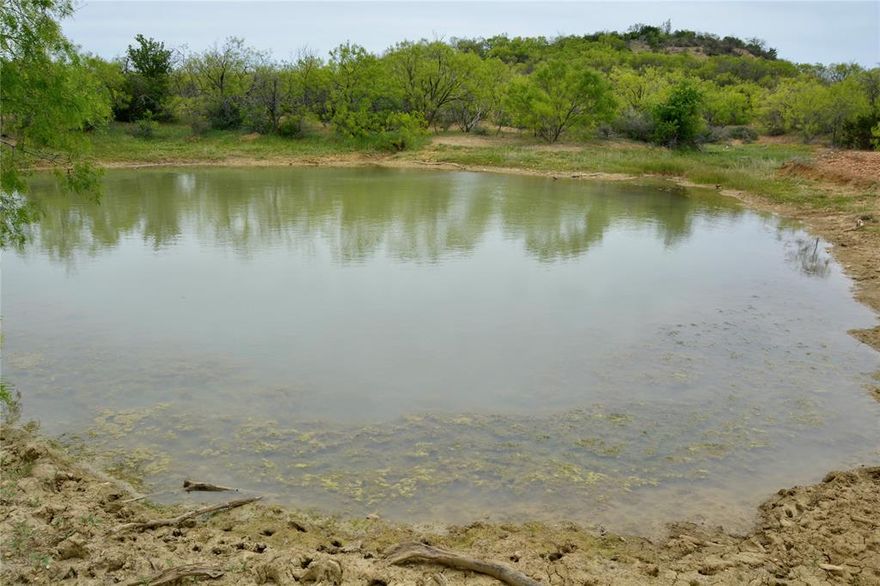 Spectacular approx 475 acres located approx 20 miles west of Goldthwaite just off of paved road FM 574. This amazing ranch offers over 1 mile of both sides of Rough Creek along with multiple other wet weather creeks and tributaries. Rough Creek is a rock bottom creek that meanders through the entire ranch. Along the creek are beautiful live oaks, elms and other hardwoods. Multiple holes of water in the creek now despite lack of recent rainfall. There is also one stock tank toward north end of ranch and 2-3 additional tanks will be constructed in the near future. Solar powered water well with storage tank and older set of cattle pens located toward southern end of property.
Terrain varies from hilltop views that go on forever, to mesquite pastures with live oak motts cross crossed by numerous wet weather creeks to valleys. Deer, turkey and hog hunting are second to none in this area with a heavy whitetail population. Electric is at the county road, minerals available. Ag Exempt.