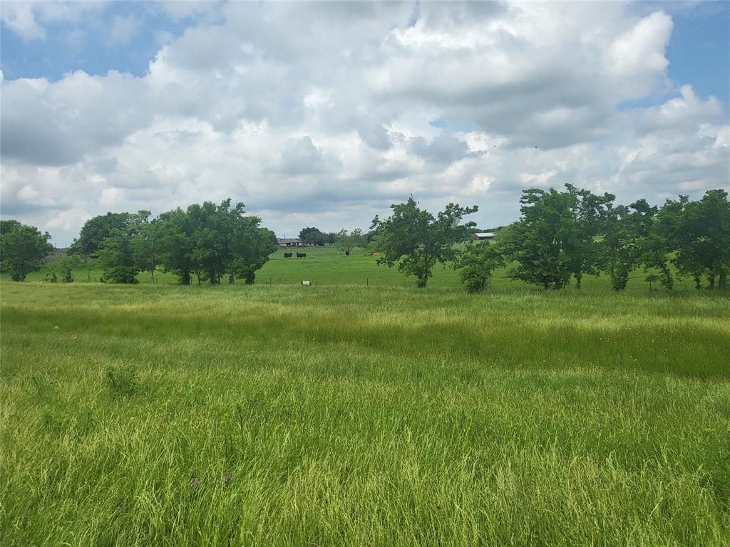 Photo 33 of 38 of 9770 County Road 213 land