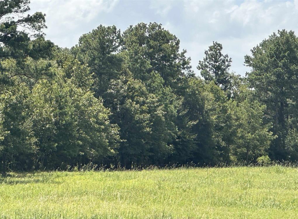 TBD VZ County 4518 Road
