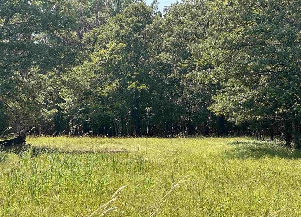 TBD VZ County 4518 Road