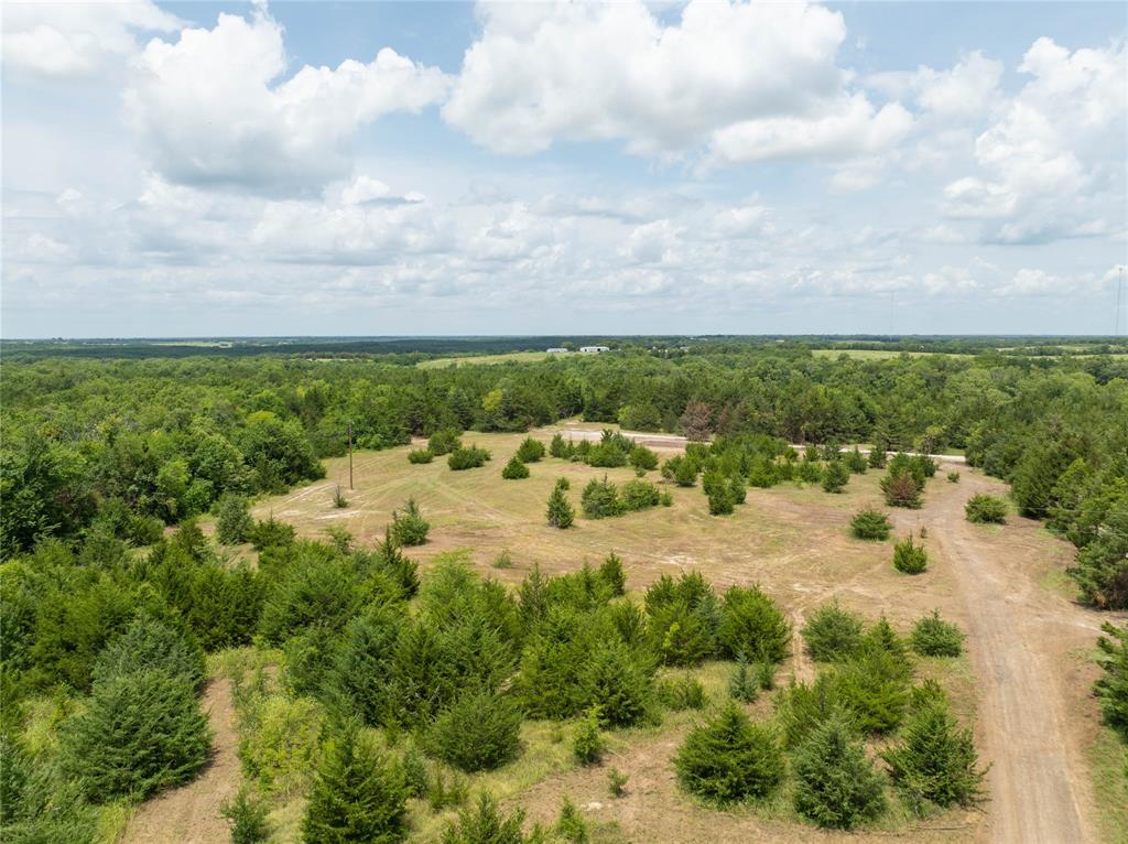 HONEY GROVE RURAL NORTH - Land